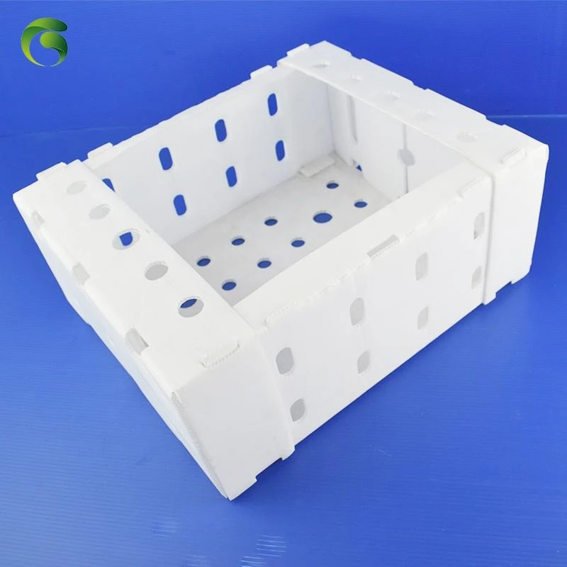 Grapes packing box pp coroplast Grapes packing box pp coroplast