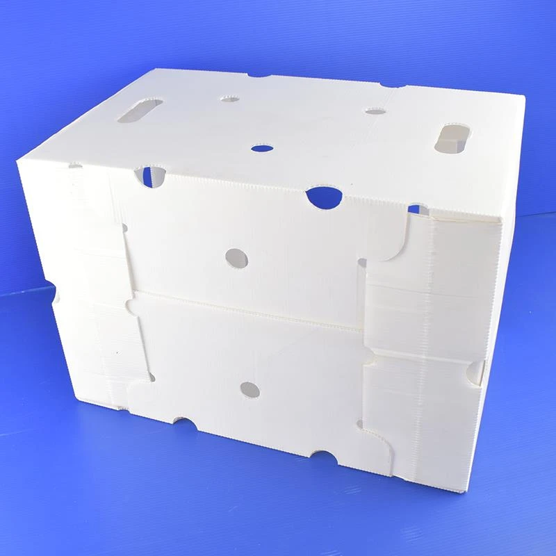 Grapes packing box pp coroplast Grapes packing box pp coroplast